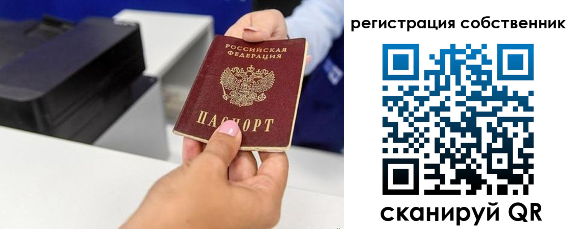 прописка для школы в Заволжске
